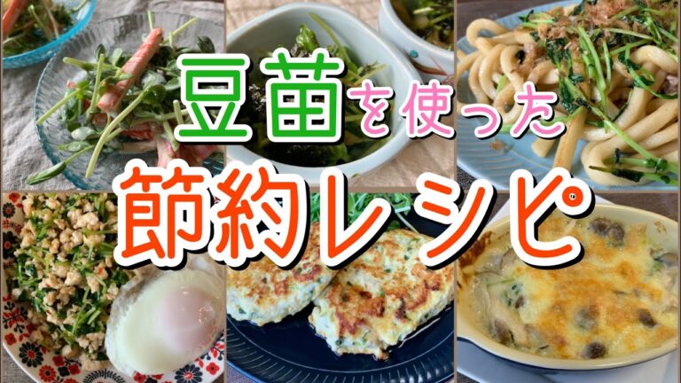 【節約レシピ】豆苗を使った美味しいご飯とおかず♪【簡単レシピ】