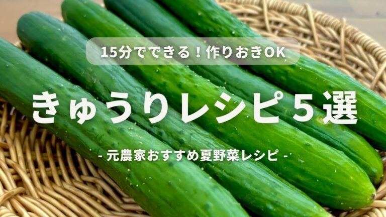 【レンジでできる】元農家おすすめきゅうりの美味しい食べ方５選｜浅漬け｜梅おかかきゅうり｜きゅうり丼｜夏バテ対策にも｜作りおきOK｜2024夏まとめ