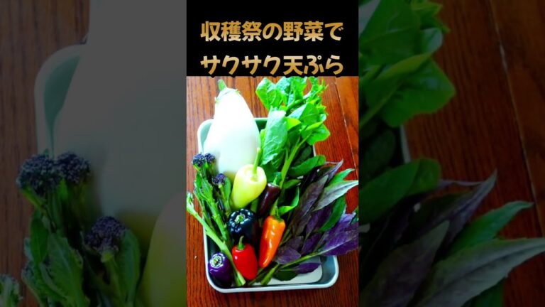 【収穫際で購入した野菜の天ぷら】#shorts #料理 #簡単 #天ぷら