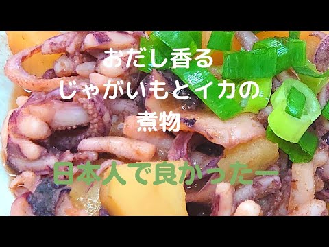 【イカとじゃがいも】出汁でほっこり甘辛煮