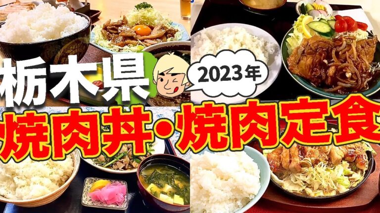 【ご飯が進む🍚】焼肉丼・焼肉定食まとめ(2023年)【栃木グルメ】