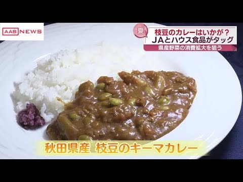 秋田の県産野菜の消費拡大へ　食品メーカーと協力し秋田産の枝豆を使ったキーマカレーのレシピを発表 (2024/08/13 19:06)