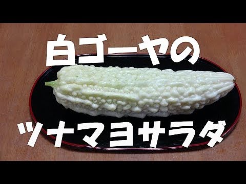 白ゴーヤのツナマヨサラダ『程よい苦味で大変美味しい！！』 Let's eat season's food