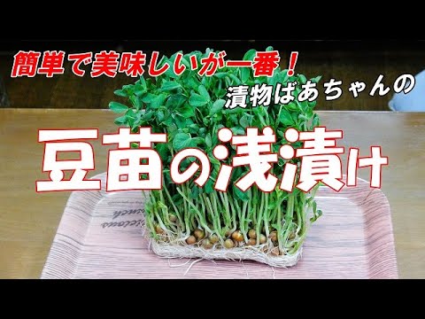 【超簡単】豆苗の浅漬け『刻んで調味料に絡めるだけ　やみつきになる美味しさ！！』