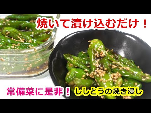 ご飯が進むししとうの焼き浸し！常備菜、お弁当、おつまみに是非♡／Easy and delicious!Roasted shishito peppers　＃ししとう＃ししとうレシピ＃常備菜