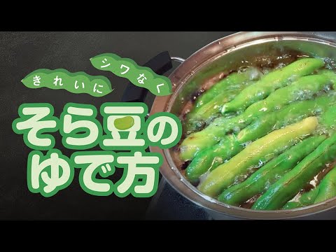 そら豆のゆで方～シワなくきれいに！旨味凝縮～