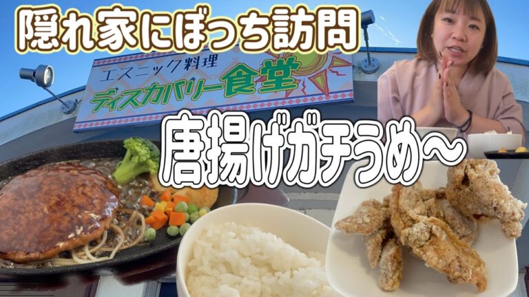 【太田市】ディスカバリー食堂💚選べるタレがたくさんあるハンバーグはふわふわ食感😉美味😋黄金の唐揚げも味がたくさん選べてとてつもなく美味しい😋✌️ぼっちで訪問したよ😌✌️種類も豊富だった👍