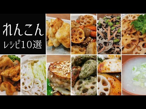 【れんこん料理10選】お弁当にも◎常備菜にも◎はさみ焼き/サラダ/きんぴらレシピ