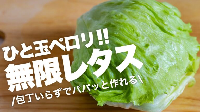 【簡単５分】箸が止まらん！無限レタスレシピ