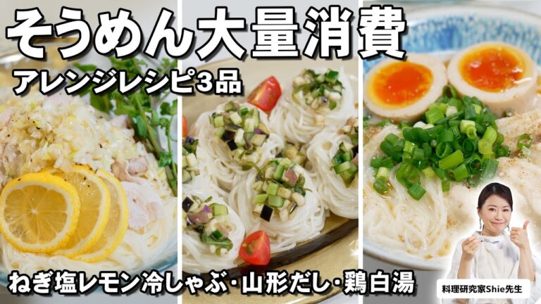 【そうめんレシピ3品】夏に余りがちなそうめんの美味しい食べ方を3つご紹介！【ねぎ塩レモン冷しゃぶ/山形のだし/鶏白湯】