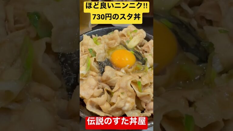 「伝説のすた丼屋」730円で腹いっぱい‼︎