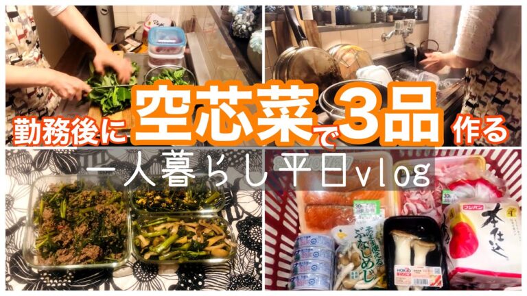 【一人暮らし平日vlog】空芯菜レシピ3品を帰宅してから作り置きする