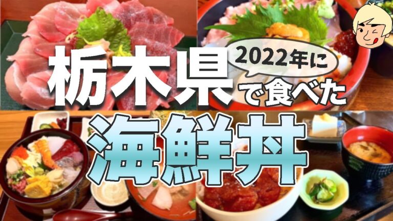 【栃木グルメ】海なし県でもうまい海鮮が食べられる！海鮮丼・刺身まとめ🐟