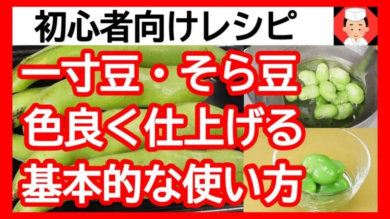 そら豆の味付け方法や使い方などの基本手順【空豆・蚕豆・一寸豆レシピ】Japanese food👉#和食レシピ日本料理案内所