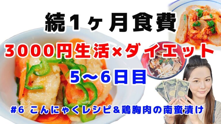 1ヶ月食費3000円×ダイエット/一人暮らしの節約生活#6こんにゃくレシピ&保存法&鶏胸肉の南蛮漬け/他