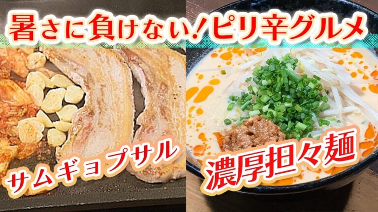 【静岡グルメ】こってりガッツリなスタミナ系！肉も麺も夢中で食べちゃう美味い店【とびっきり食堂】