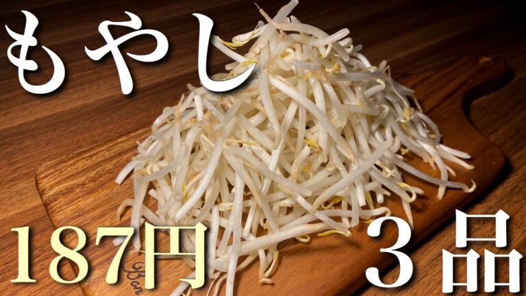 【激安】もやしを使用した節約レシピ３品　～ピリ辛ナムル／ナポリタン／ラーメン～