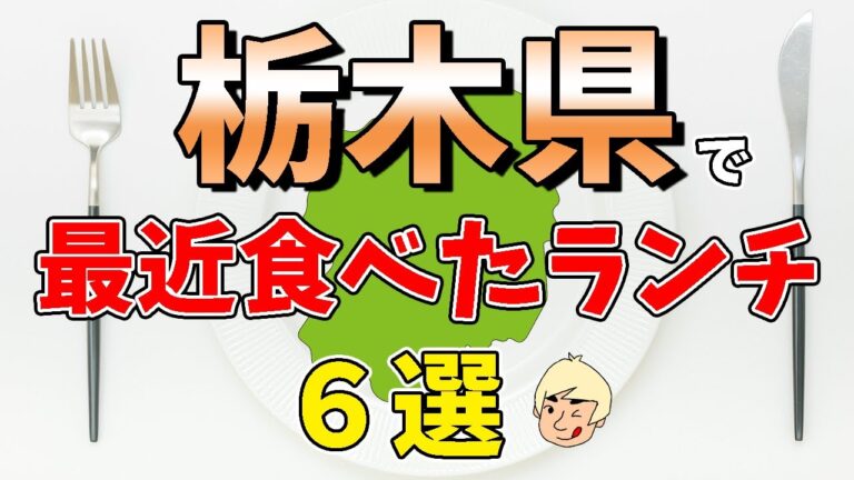 【海鮮丼/牛カツ/チキンカツカレー/唐揚げ/支那そば】栃木県で最近食べたうみゃ〜なランチ6選【下野市/日光市/小山市/大田原市/真岡市/栃木市】