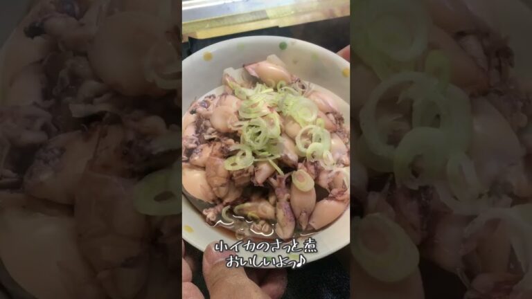 100g98円の小イカを洗って煮るだけの動画【レシピ/簡単/激安/節約/グルメ】