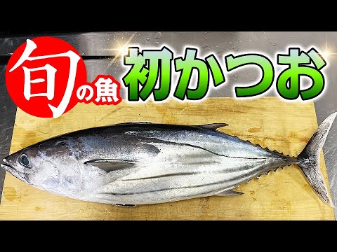 【 美味しい食べ方も紹介！ 】旬の初かつお 【 せり人ムタロー ・ 今旨い魚 】