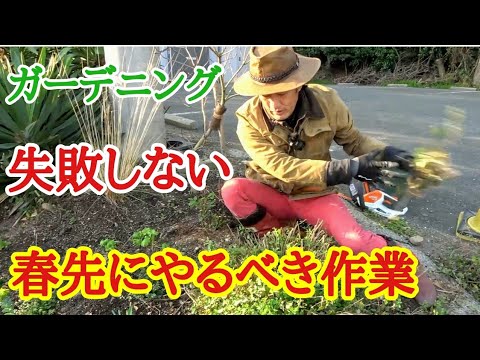 【荒地リフォーム10】春先に必要なお庭のメンテナンス教えます　【ガーデニング】【園芸】【初心者】【管理】