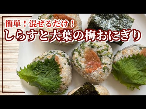 【簡単】梅干しに合う！しらすと大葉の混ぜ込みご飯 | 一汁一菜 | お弁当【おにぎり】