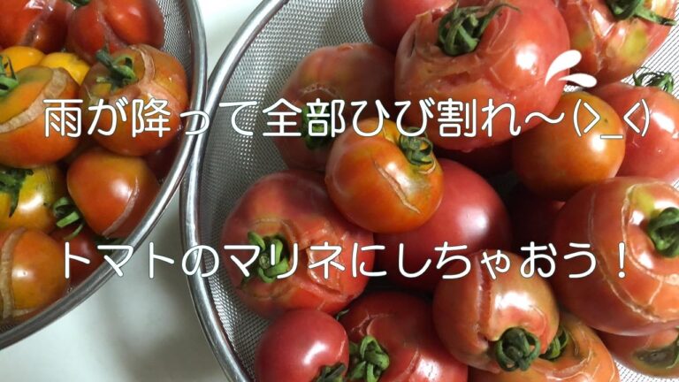 トマトと玉ねぎのマリネ