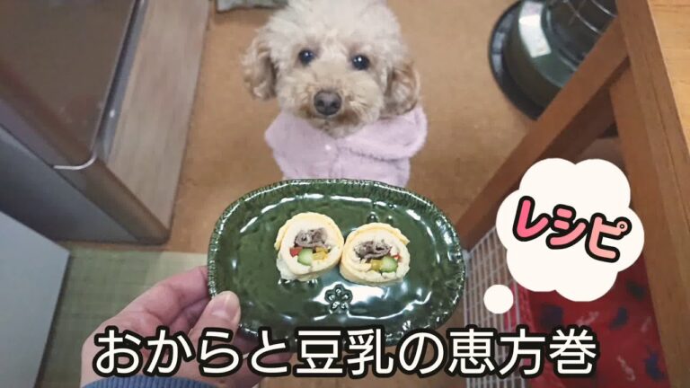 【犬の恵方巻き】簡単♫おからと卵の恵方巻きの作り方　節分のワンコ用うまうまレシピをご紹介！