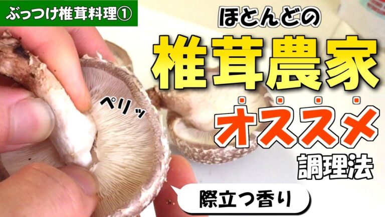 【ぶっつけ料理】ほとんどの椎茸農家オススメする調理法！