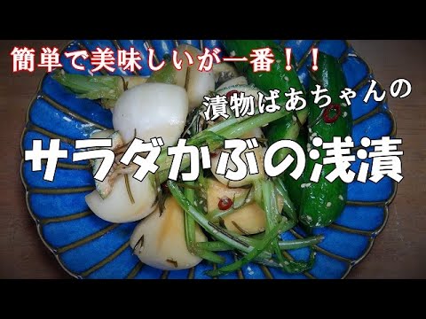 【超簡単】サラダかぶの浅漬『サラダ感覚のお漬物！！』Let's eat season's food