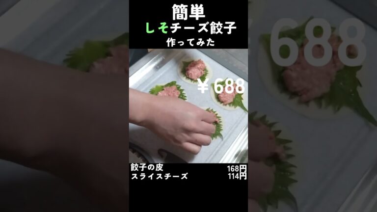 【自炊初心者】しそチーズ餃子作ってみた【包まない餃子】