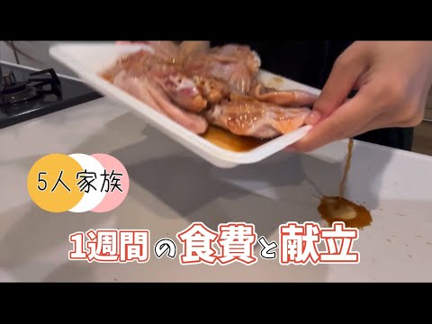 【生理】ゴリラの1週間