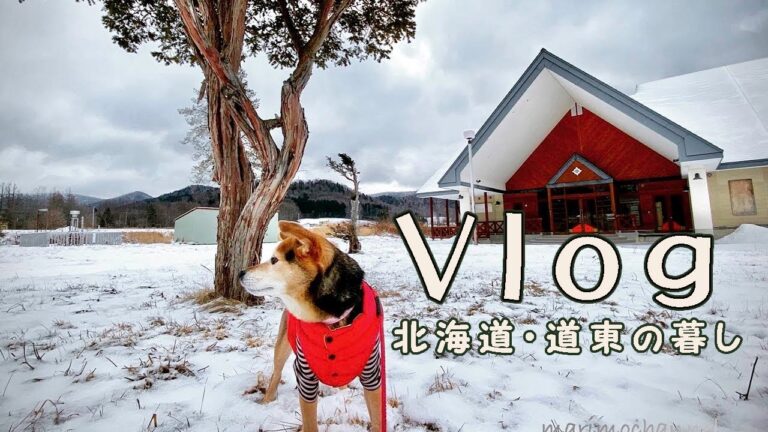 正月終わって日常に戻る、犬の防寒着、七草粥 、大阪コテコテ風景『Vlog 北海道・道東の暮らし』