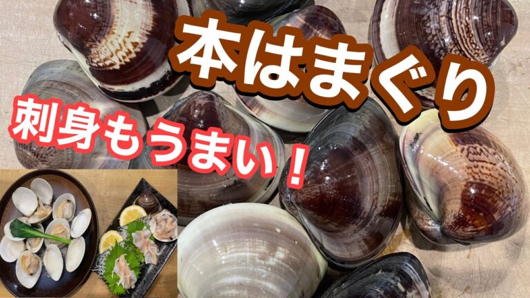 本はまぐりのお刺身と酒蒸しでキメる！！【本はまぐりの捌き方】