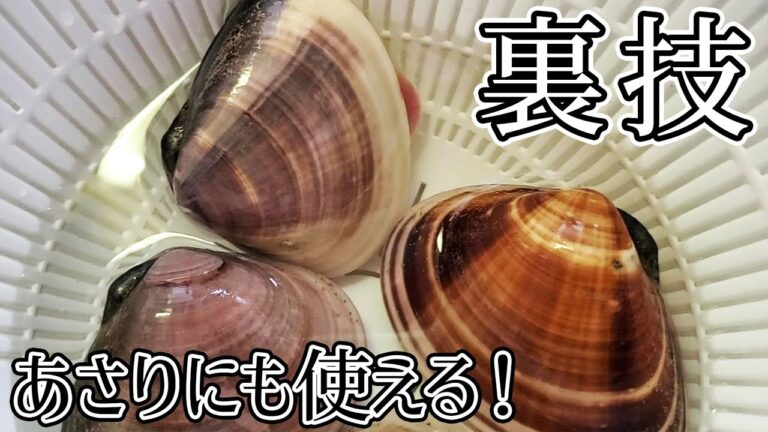 絶対に旨っ！ハマグリの裏技！【砂抜きと焼き方】