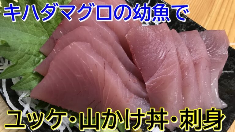 キハダマグロの幼魚でマグロユッケ・刺身・山かけ丼を作ってみた