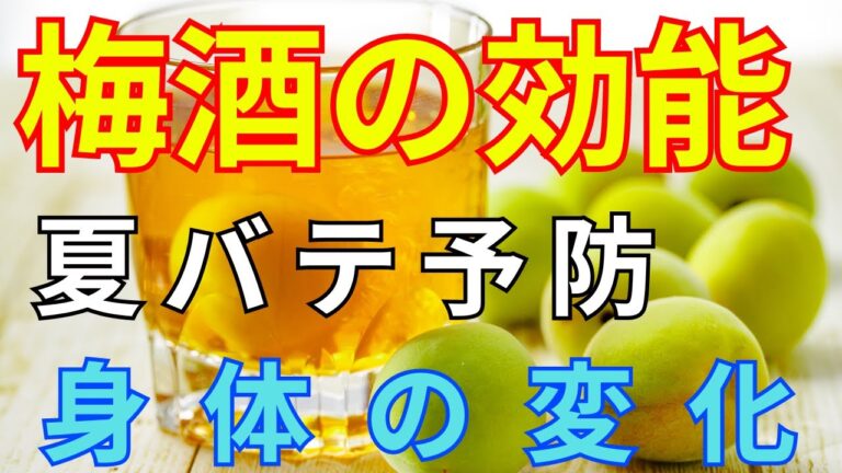 【梅酒】ホット梅酒を毎日飲み続けるとダイエットや●●に効果抜群！梅酒の作り方等を解説致します！