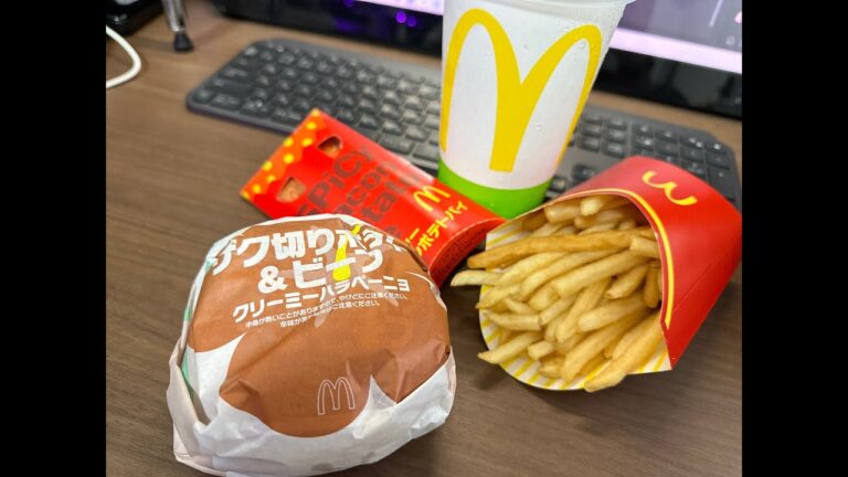 【緊急特別企画】マクドナルド ザク切りポテト＆ビーフ スパイシーベーコンポテトパイ シャカシャカポテト サワークリームオニオン味を喰らう 2023.8.6【 #さよなら日曜 】