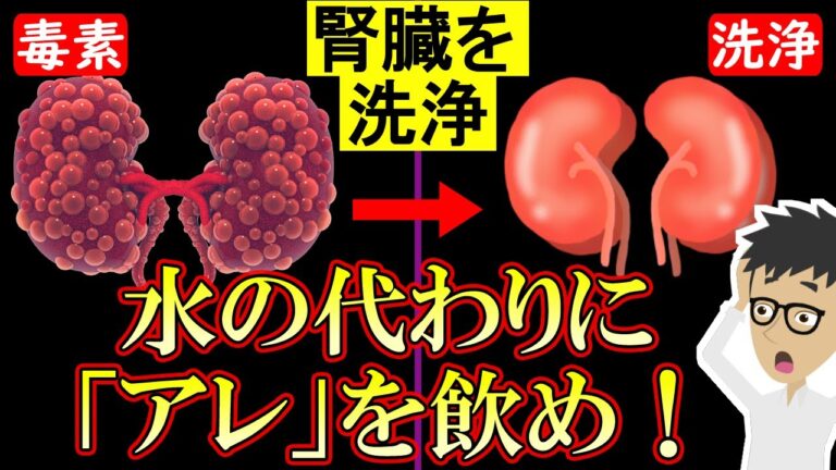 【科学的根拠あり】寝る前1杯飲むだけで腎機能改善！腎臓をキレイにする飲み物2選【クレアチニン｜高い｜老廃物｜高血圧】