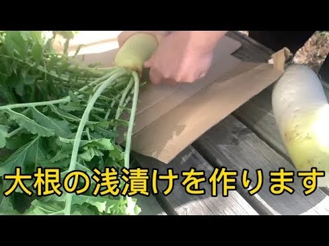 【浅漬け】大根　簡単レシピ　大根の浅漬けを作ります