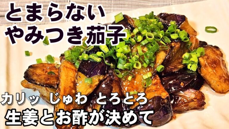 また、この世から茄子が消えるかも！(簡単おかず おつまみ お弁当 茄子レシピ)