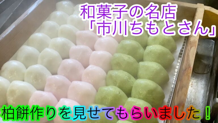 和菓子の名店【市川ちもと】柏餅作り全工程公開！