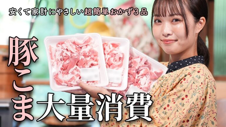 豚こま肉大量消費で超簡単絶品レシピ！厳選3品メインおかずで節約料理【古民家キッチン】