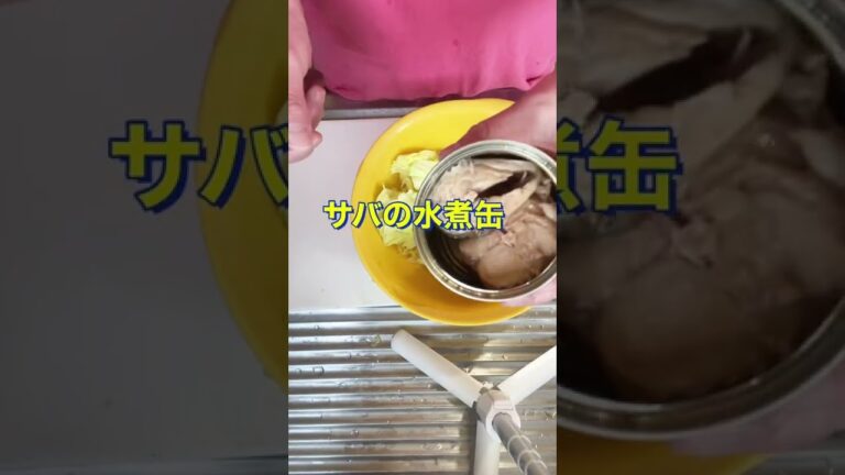 早い❗美味い❗安い😍【サバ缶とキャベツの塩昆布和え】#Shorts #ひめりんご