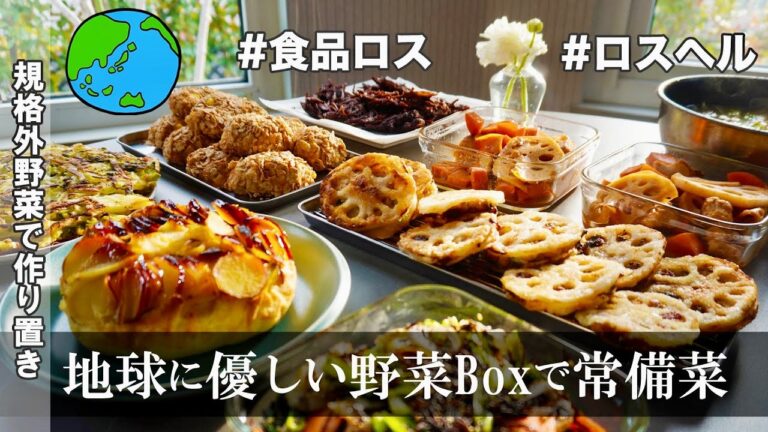 常備菜9品【規格外野菜で地球に優しい作り置き】食品ロスを目指そう！じゃがいも|ごぼう｜人参｜さつまいも｜ブロコリー｜蓮根｜小松菜｜りんご［ロスヘル宅配Boxとコラボ動画］私の祖父もみかん農園主でした！