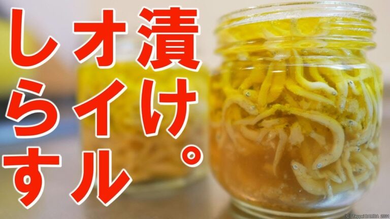 しらす油漬けレシピ