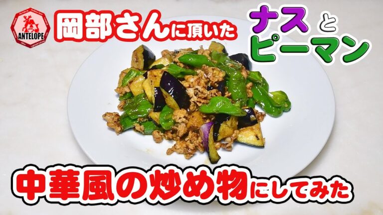 完全無添加！茄子とピーマンと豚肉の中華風炒めの本格レシピ【特選男の料理】