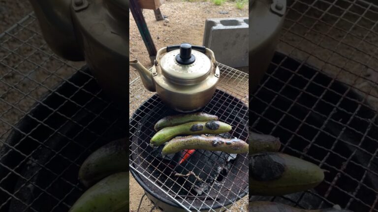 空豆の1番美味しい食べ方　#そらまめ #outdoors #アウトドア #おつまみ