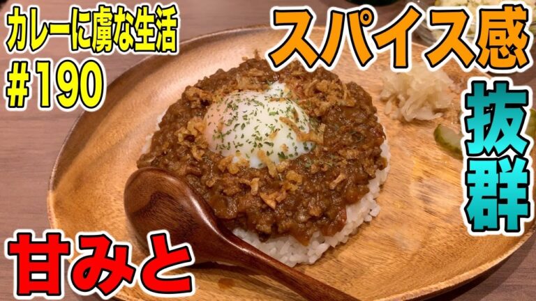 [今熱い！]ドライカレータイプのキーマカレー！DUDEさんのカレーはスパイシーで大きめに入ったトマトのアクセントが最高！カレーに虜な生活＃190