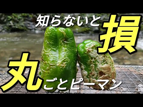 しちりんで休日４【丸ごとピーマン】